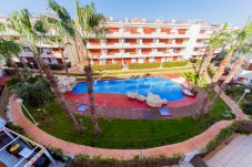 Apartamento en Torrevieja - Apartamento de 2 dormitorios a 500 m de la playa