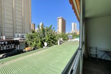 Apartamento en Benidorm - Apartamento de 1 dormitorios a 300 m de la playa