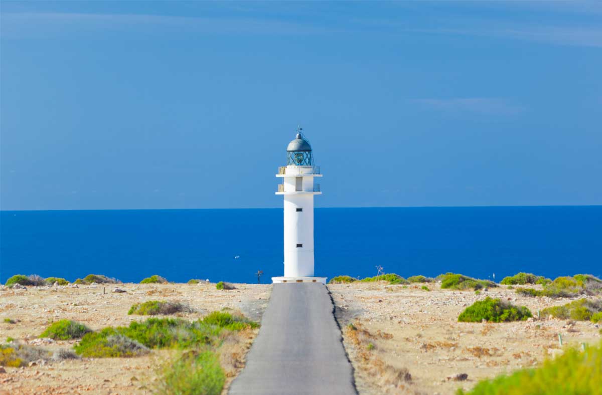 ¿Cuál es tu favorita?&nbsp;