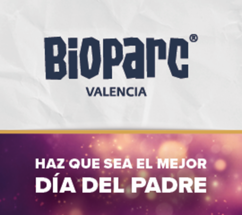 Musicales, teatros y parques