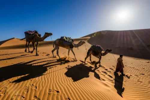 Marruecos: ciudades imperiales, desiertos y zocos