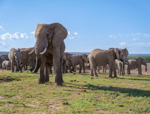 ¿Qué circuito te gustaría hacer?