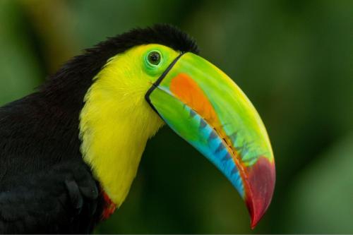 Naturaleza sin límites, aventuras auténticas