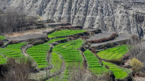 Otros circuitos para viajar con amigos 