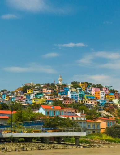 Vuela a Guayaquil