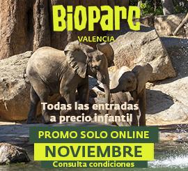 Black Friday: del 20 al 30 noviembre