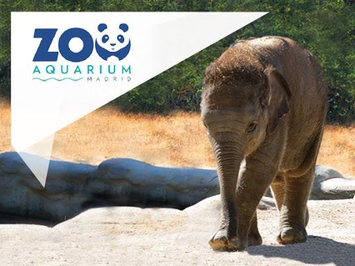 Zoo Acuarium Madrid entradas