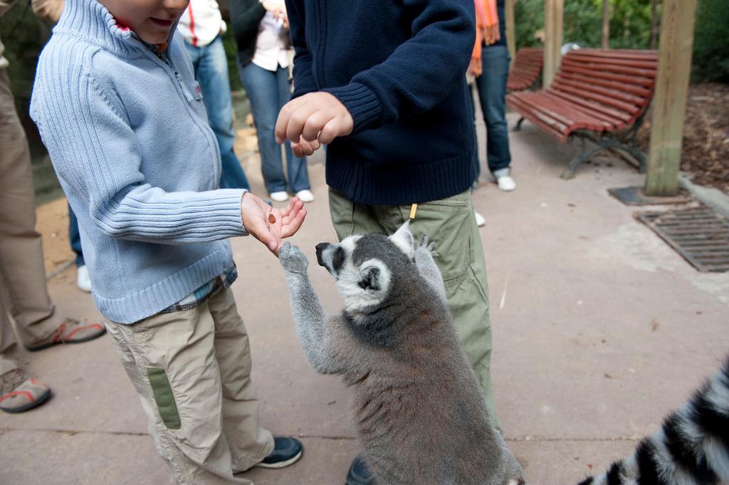 Escápate por Andalucía
