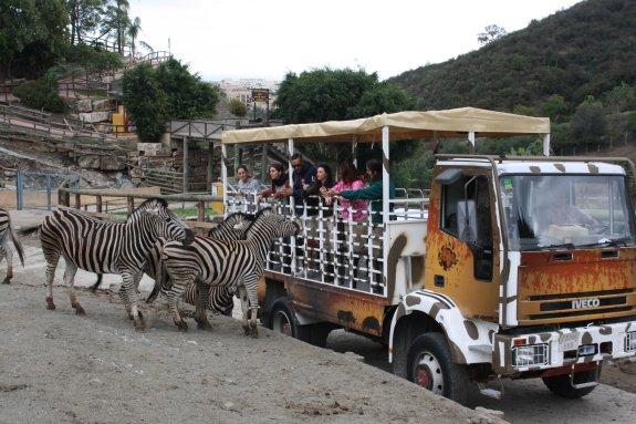 ¿Qué te apetece hacer? 