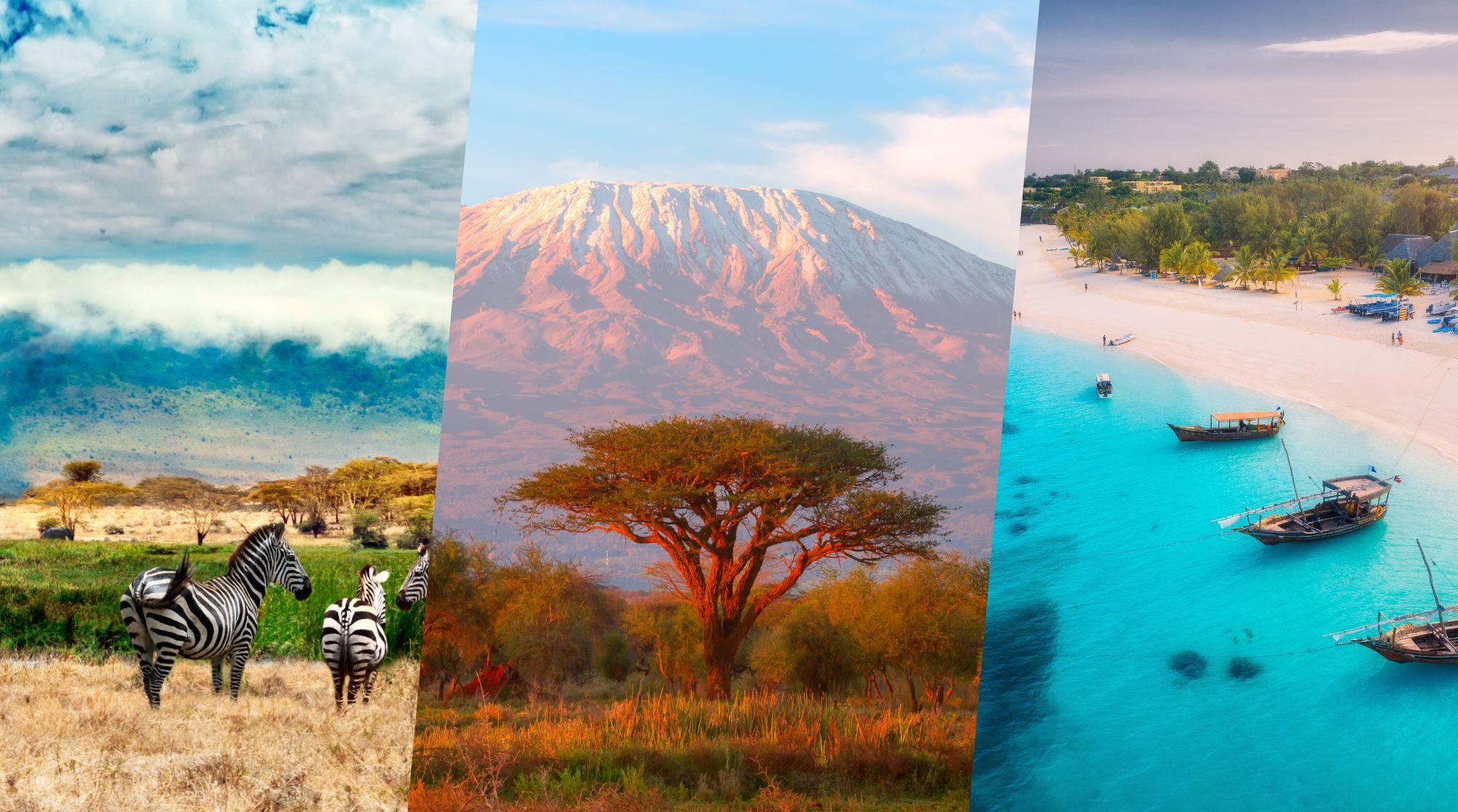 ¿Qué viaje prefieres? 