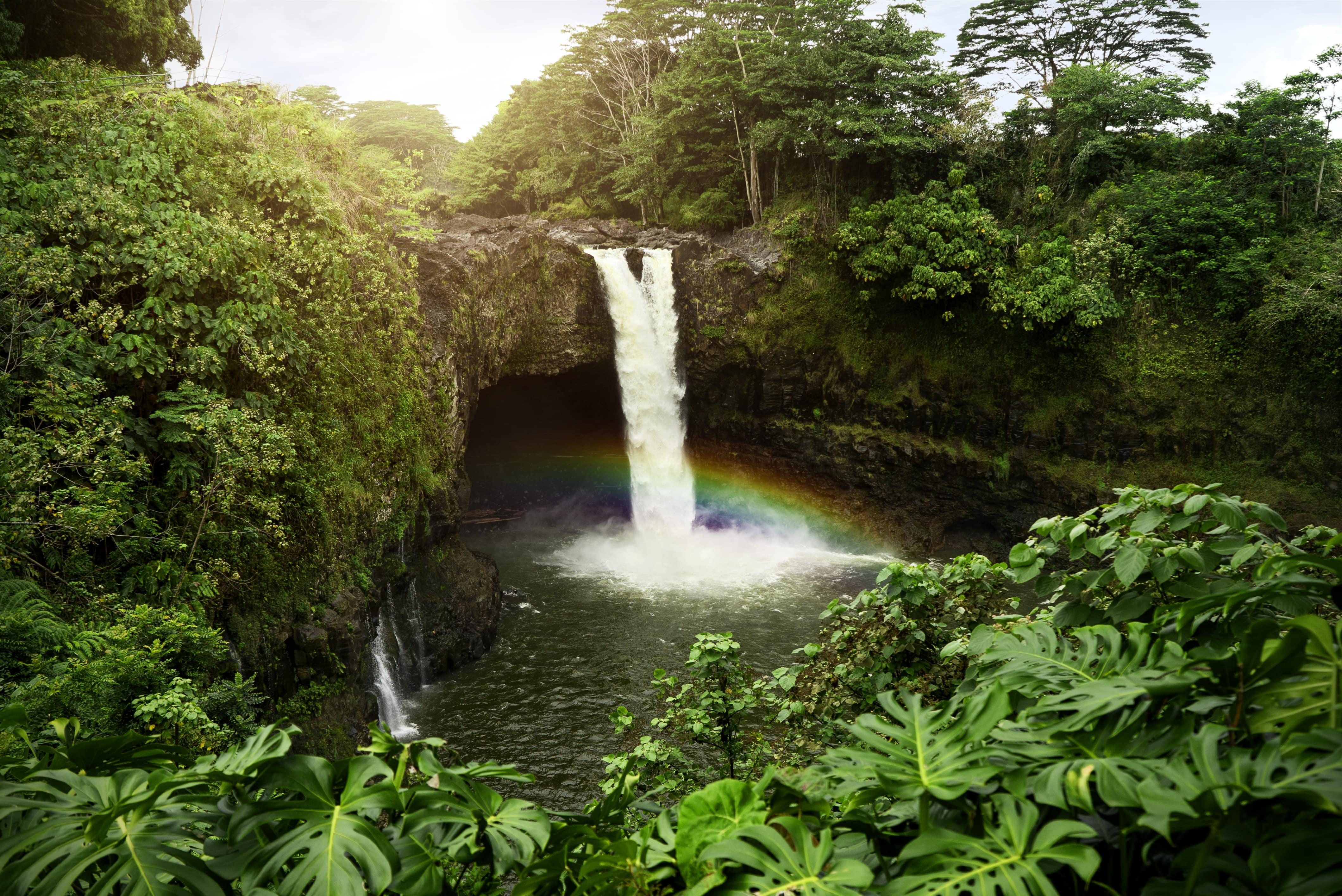 ¿Te apetece un crucero por Hawaii?