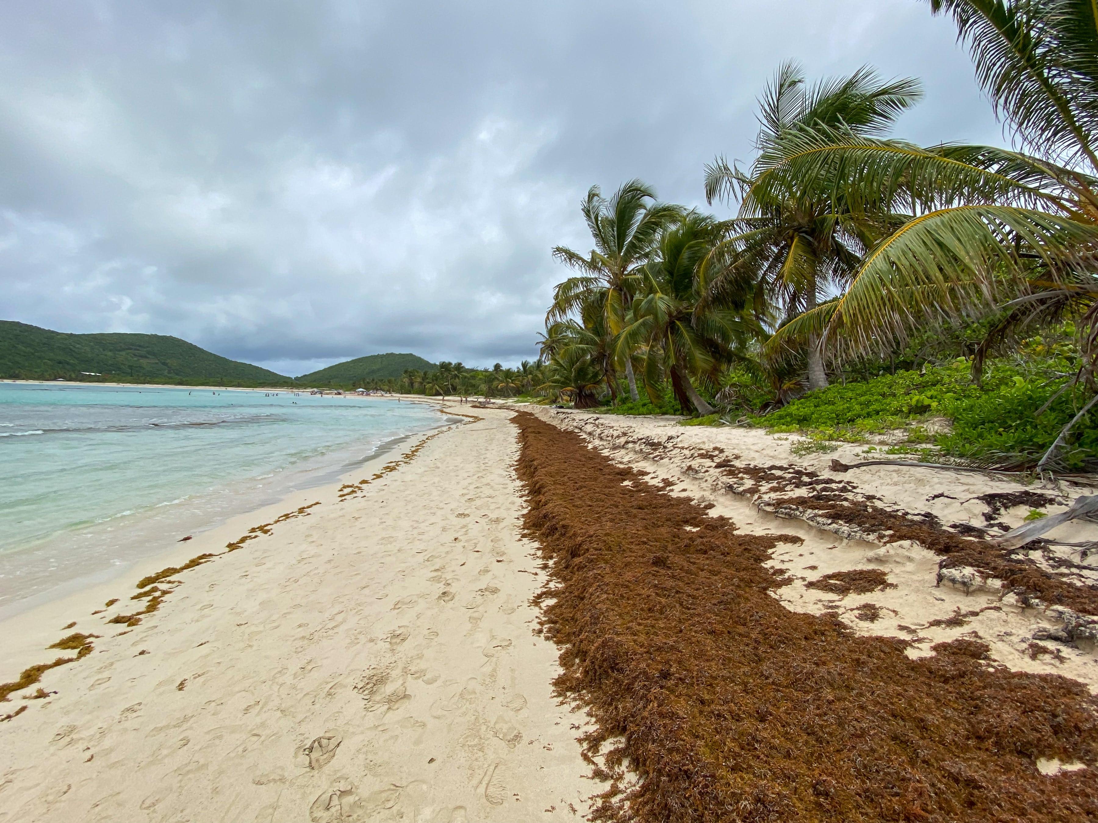 Cruceros por el Caribe Sur